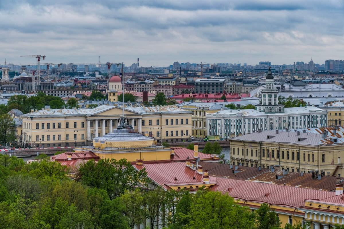 Кунсткамера - Георгий А Кунсткамера - Георгий А