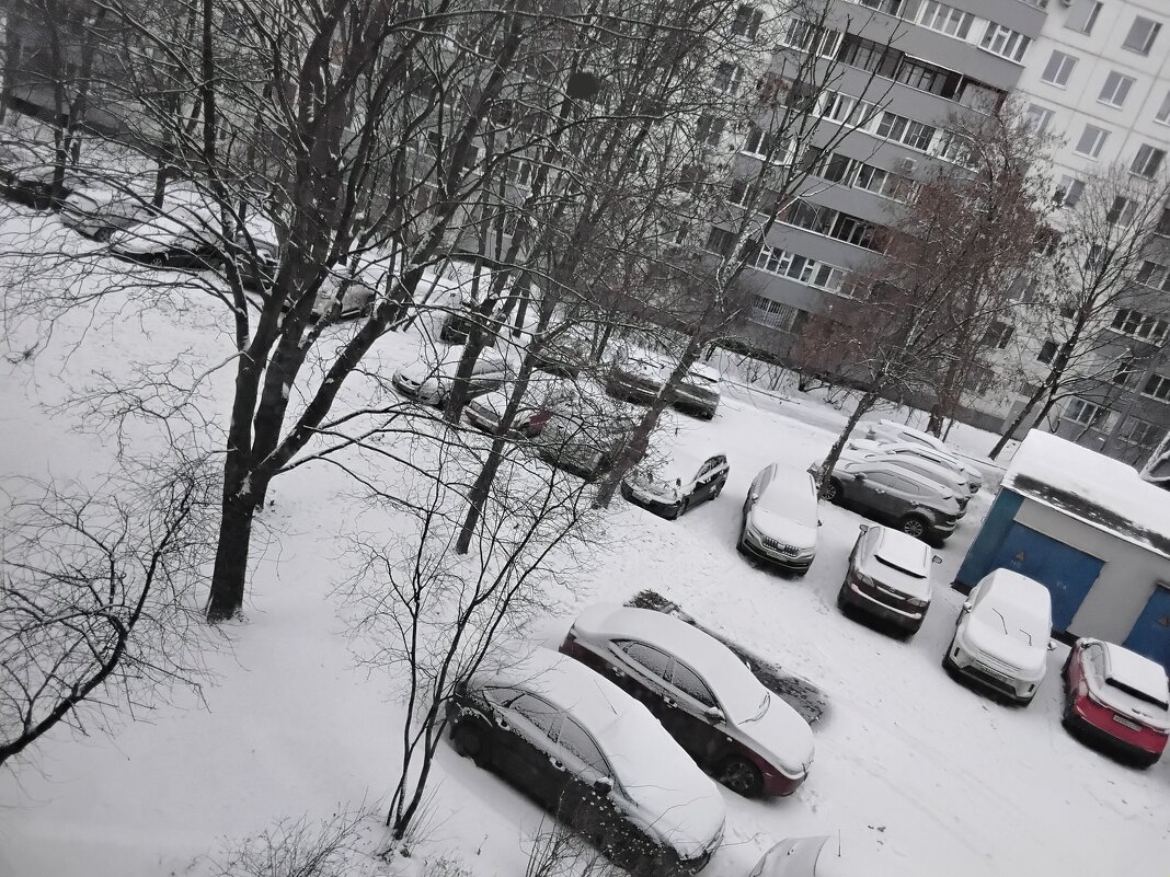 Белый снег упал на город - Дмитрий Никитин Белый снег упал на город - Дмитрий Никитин