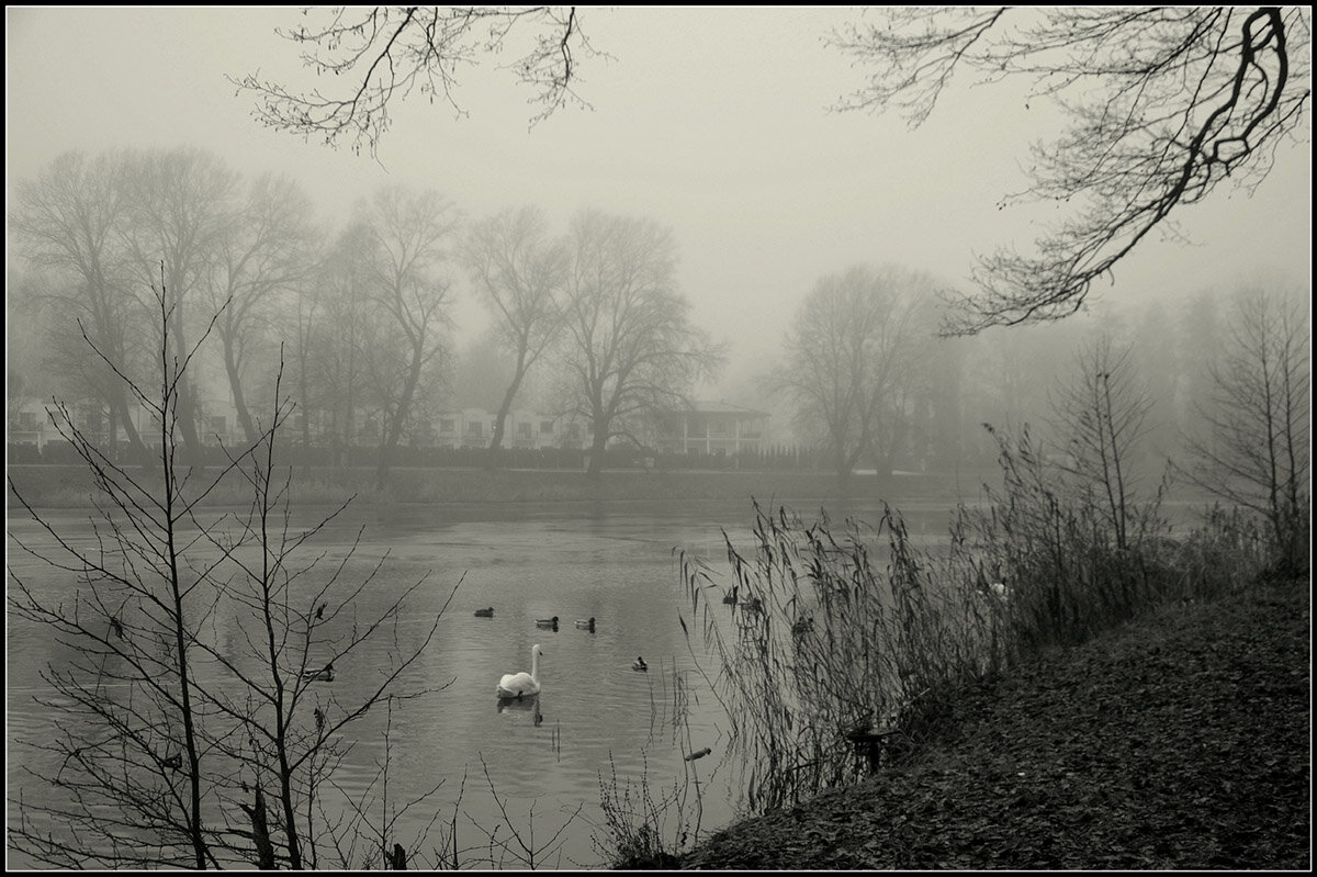 Декабрь - Aleksandr Gal