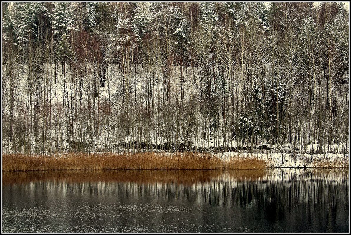 Припорошило - Aleksandr Gal