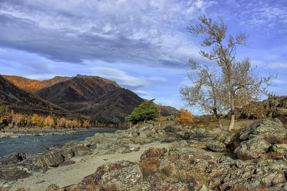 Катунь, недалеко от водопада   Бельтертуюк - елена беликова