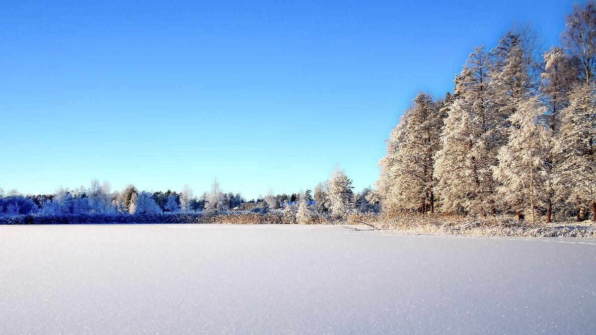 Зима - Alexandеr P