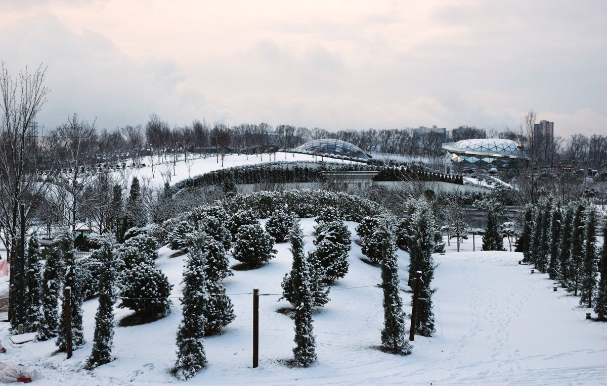 Парк Галицкого, заснежило. - Юрий Полторыхин. Парк Галицкого, заснежило. - Юрий Полторыхин.
