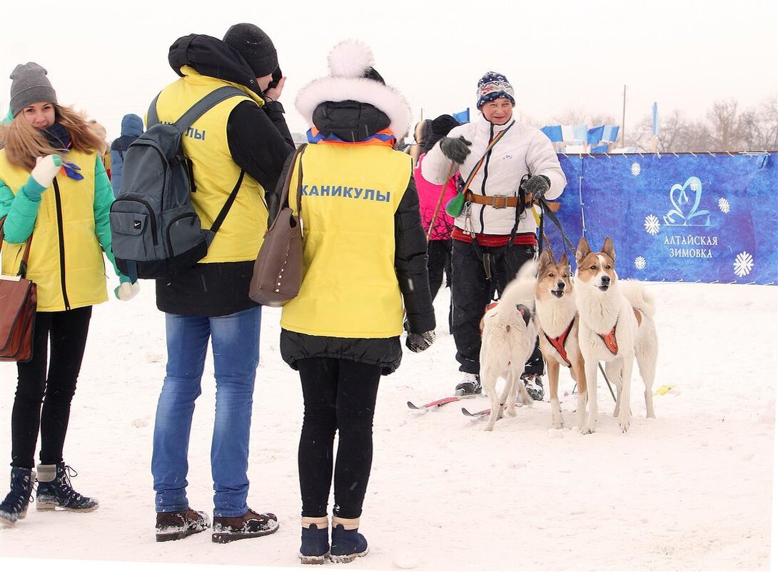 Алтайская зимовка - елена беликова