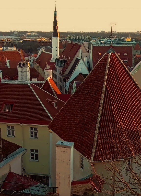 Tallinn - Татьян@ Ивановна Tallinn - Татьян@ Ивановна