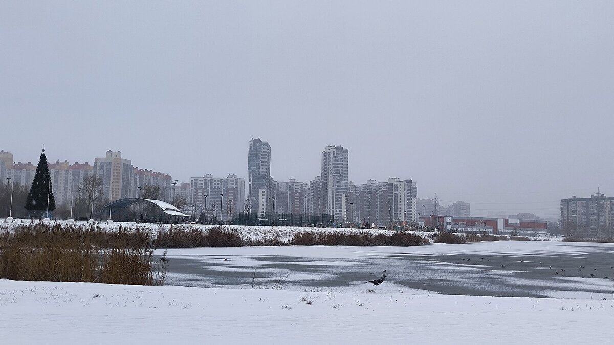 И к нам пришла зима! - Ольга 