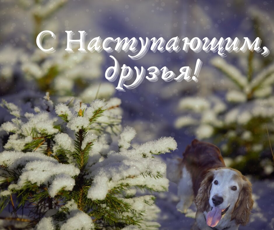 Мы вместе... - liudmila drake Мы вместе... - liudmila drake