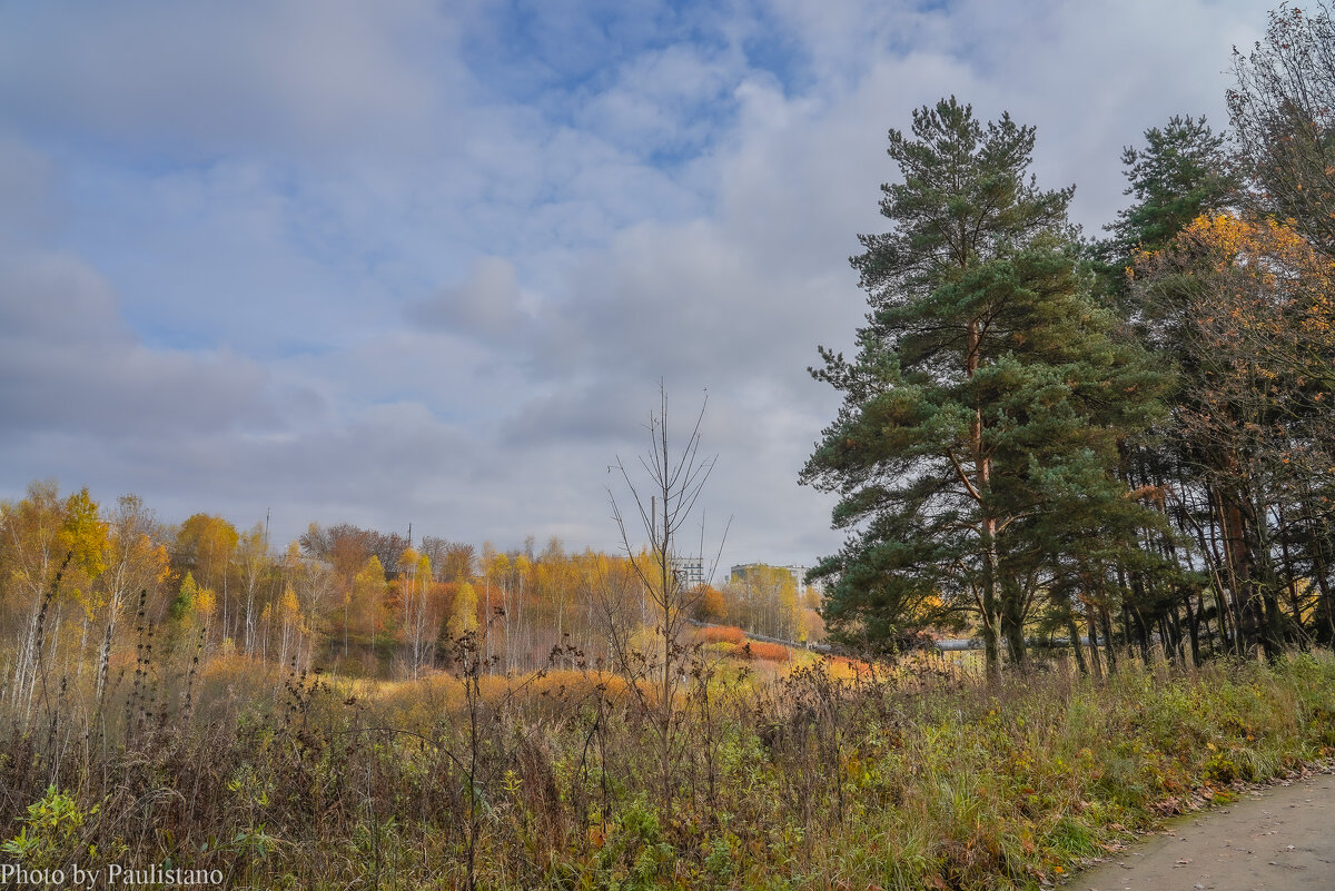 Под небом октября... - Владимир Жданов