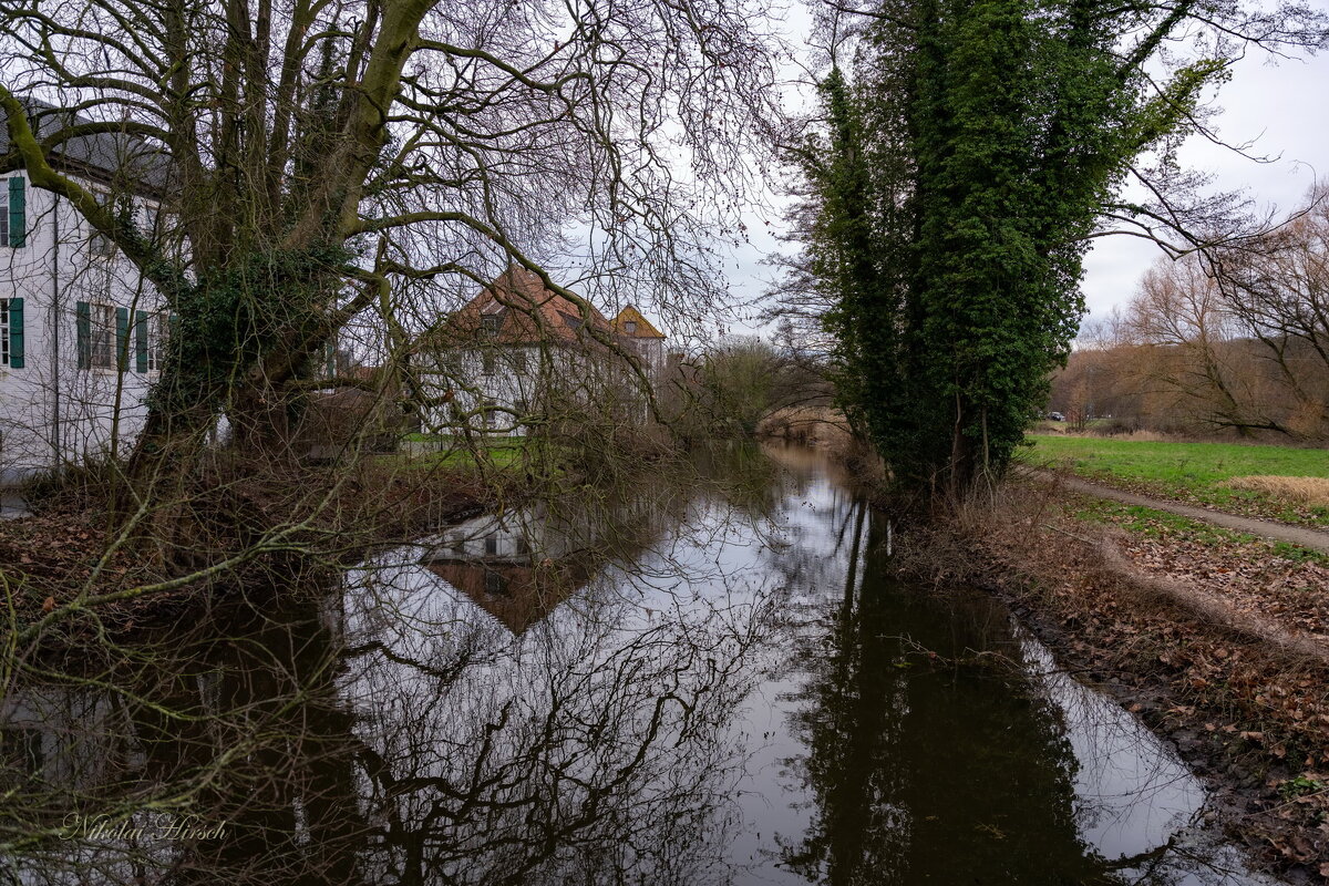 Прогулка в январе... - Николай Гирш