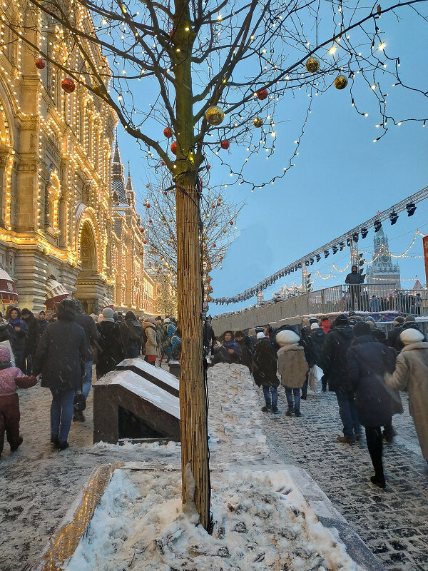 Центр - Юлия Денискина