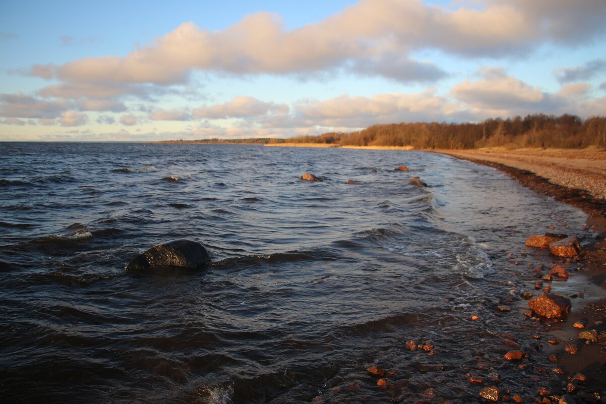 Осень 2025. Ноябрь - Наталья Герасимова Осень 2025. Ноябрь - Наталья Герасимова