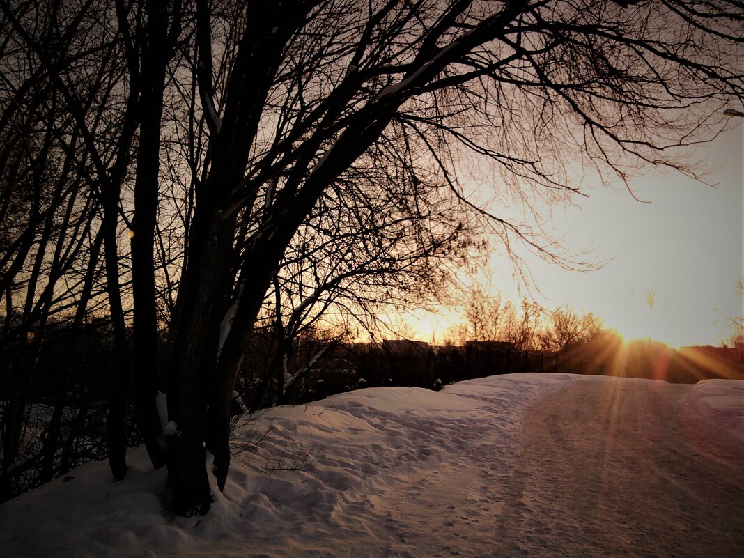 Зимнее солнце - Nora Nowhere