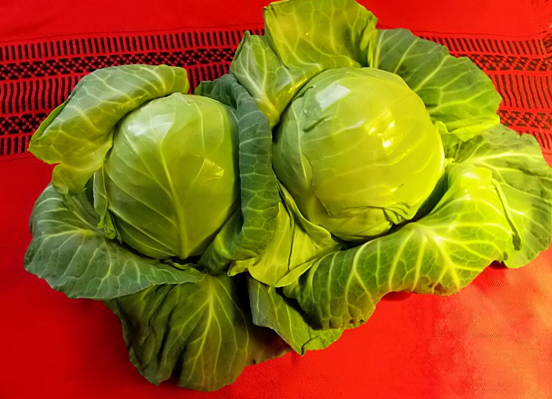 Капустный натюрморт - Елена 