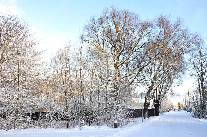 На исходе декабря - Елена 