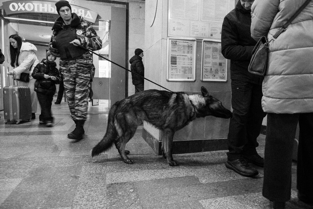 *** - Сергей Золотавин