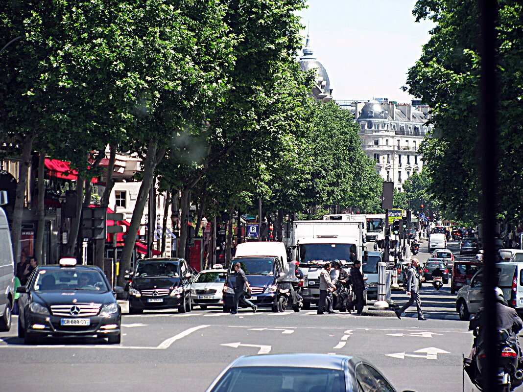 Париж с автобуса. - Владимир Драгунский