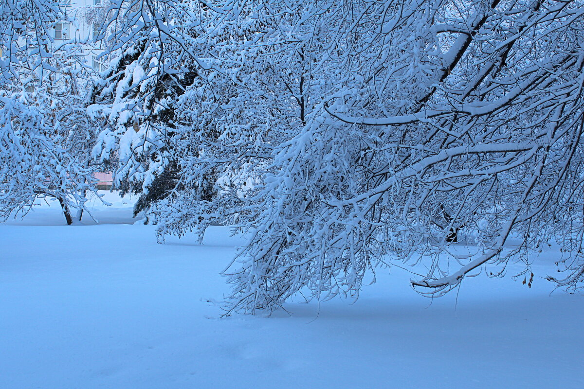 Под снеговой тяжестью - Татьяна Лютаева