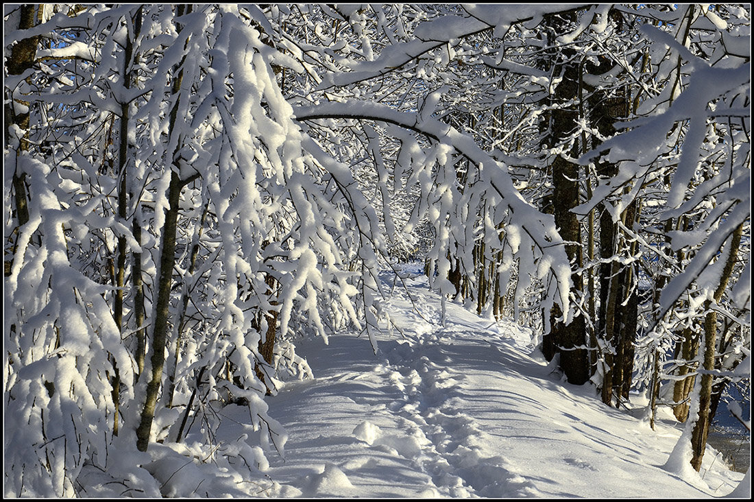Ностальгия - Aleksandr Gal