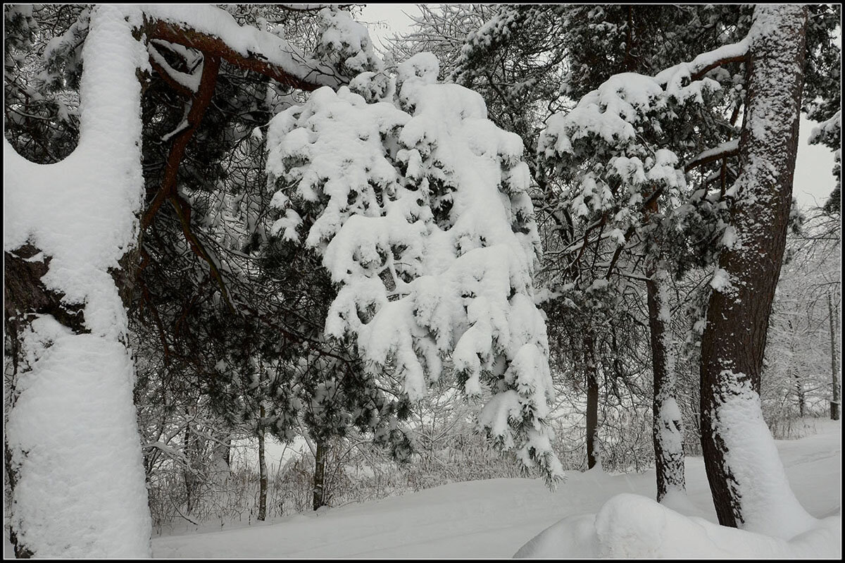 Зимняя сказка - Aleksandr Gal Зимняя сказка - Aleksandr Gal