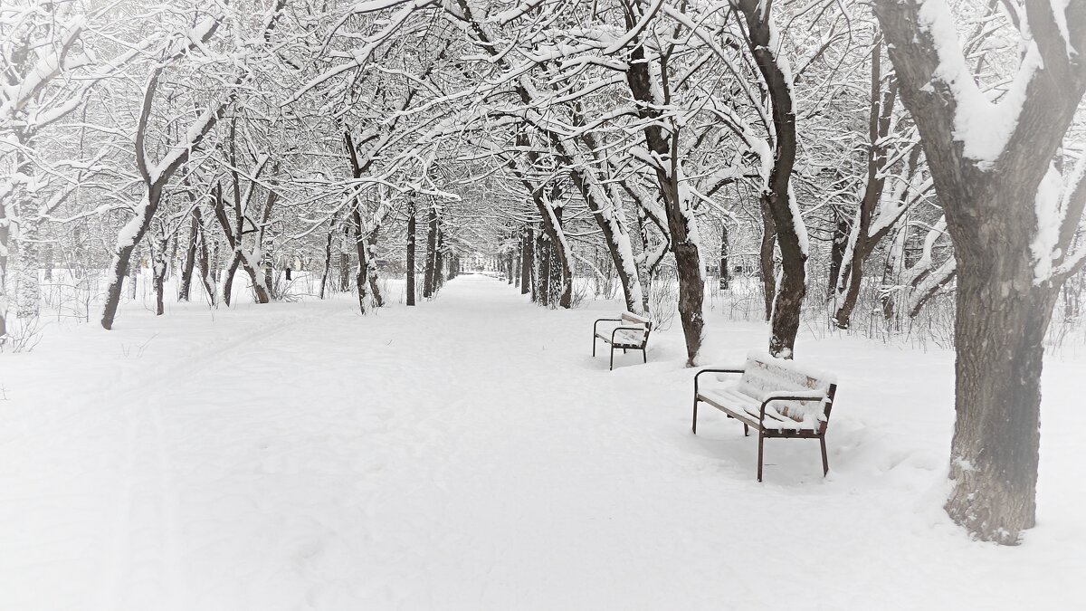 "Морозный день" - Макс Орлов