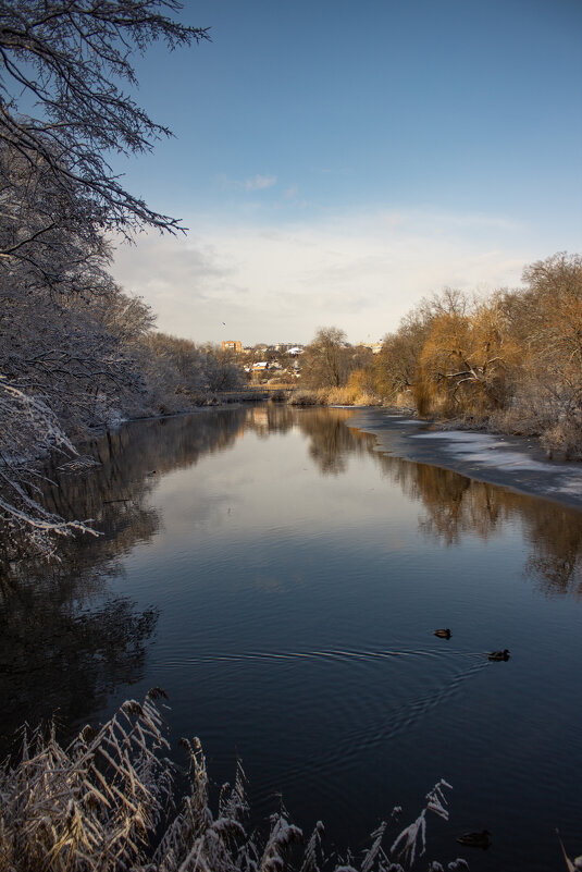 Утро. - Александр. AVG100 ---