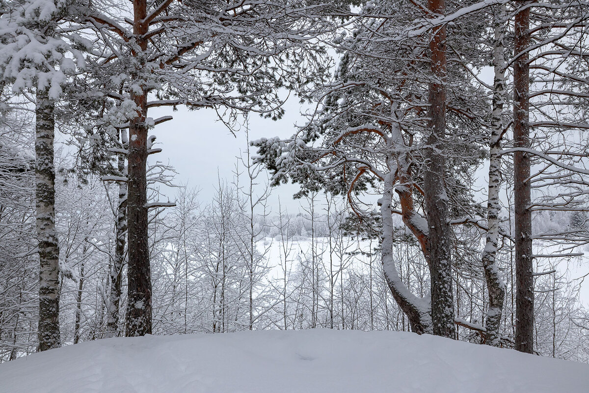 На берегу старицы. - Андрей Дурапов