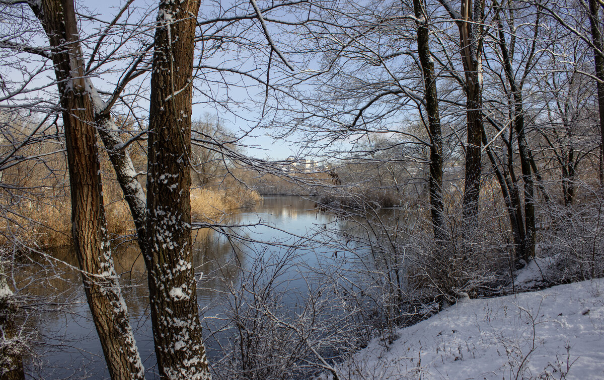 Темерник. - Александр. AVG100 ---