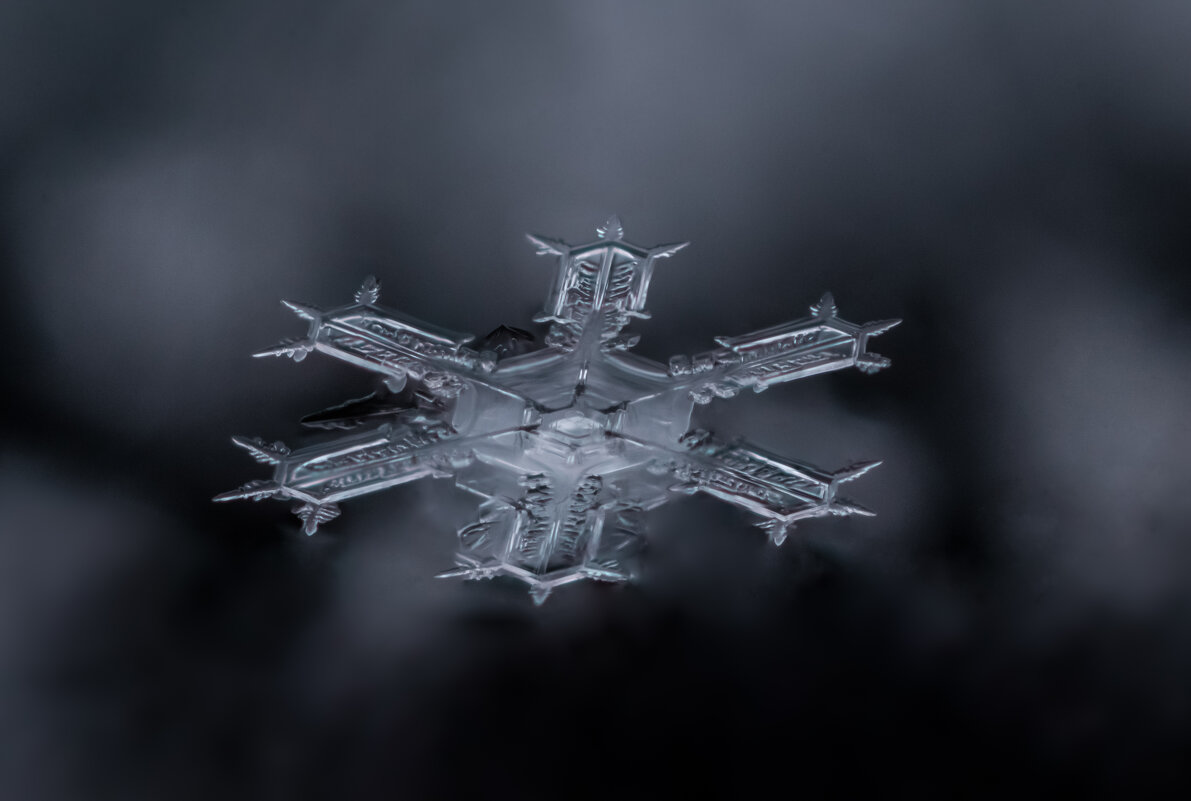 Одна снежинка - ещё не снег - Игорь Шевченко