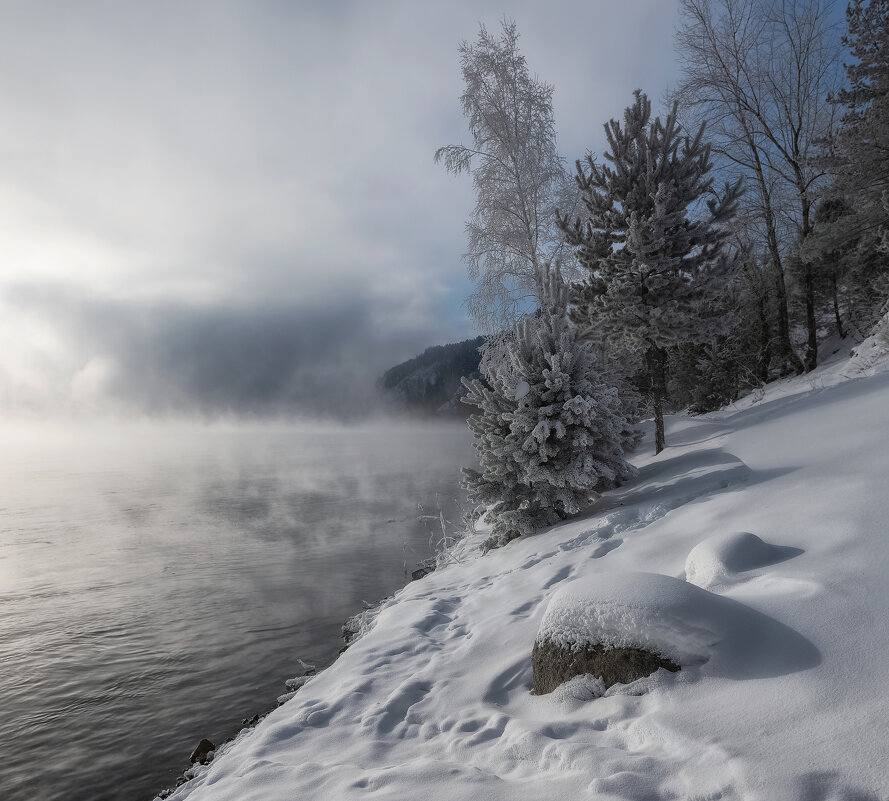 Морозный Енисей - Марина Фомина.