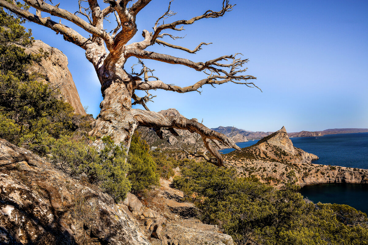 Страж тропы. - Сергей Воротников