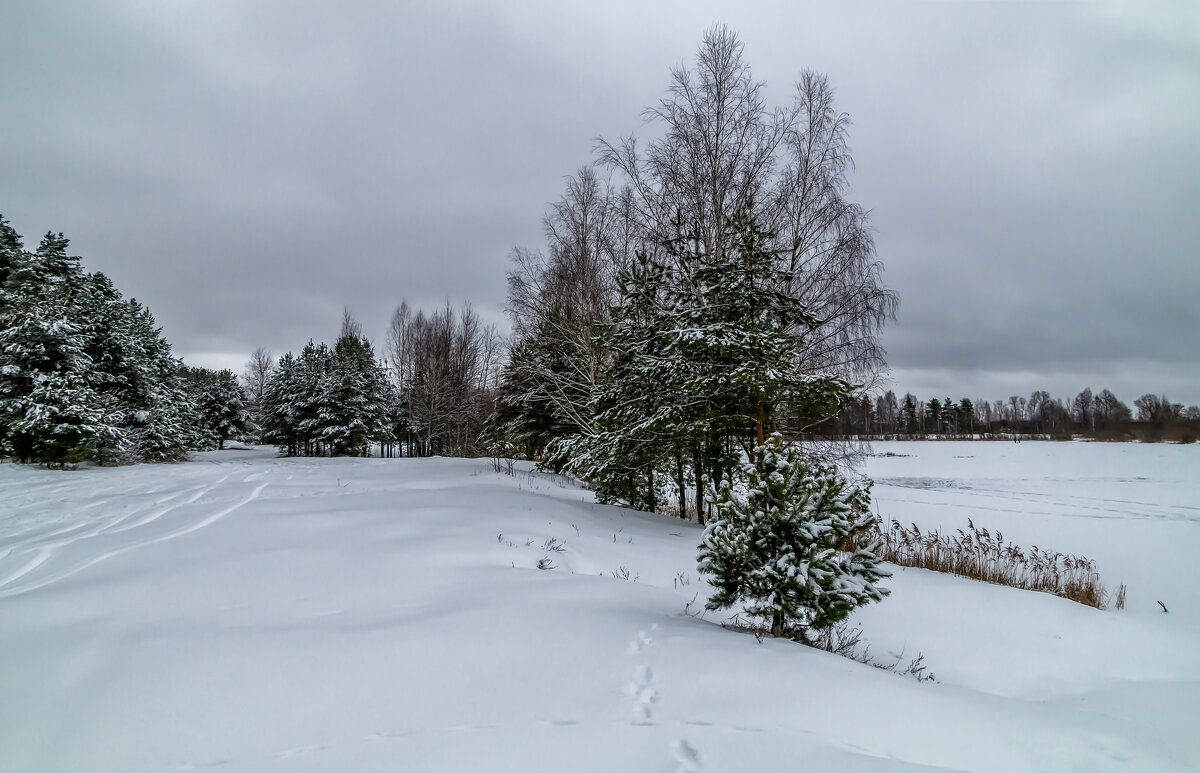 Зимние утро 2 - Андрей Дворников