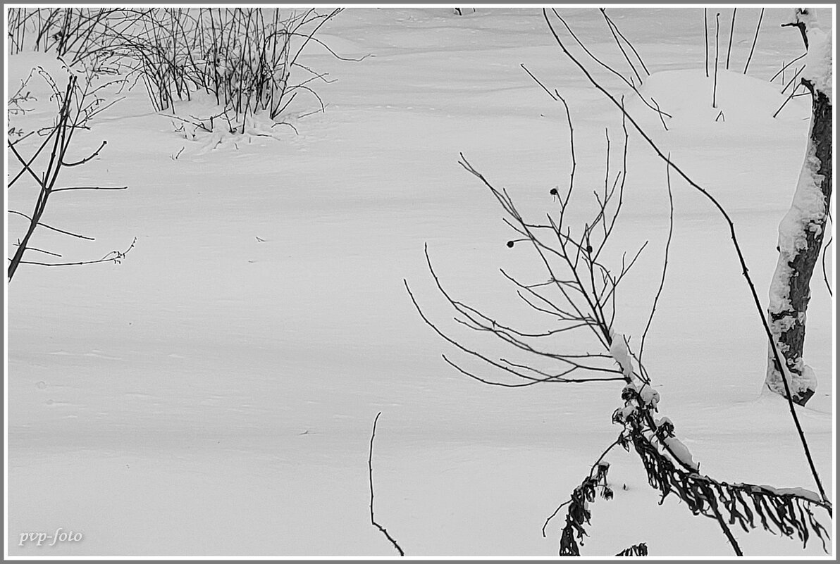 Зимняя графика - Владимир Попов Зимняя графика - Владимир Попов