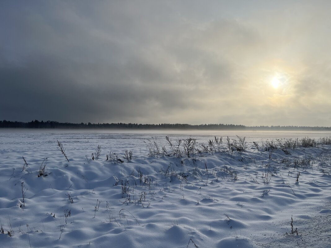 Пейзаж холодный и белый. Как наша жизнь. - Серж Show