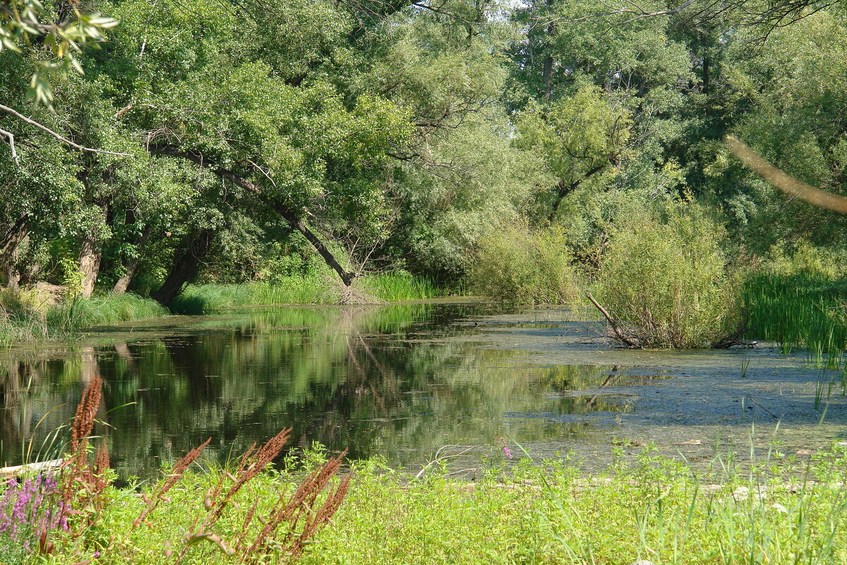 Природа Южного Урала - Виктор Природа Южного Урала - Виктор