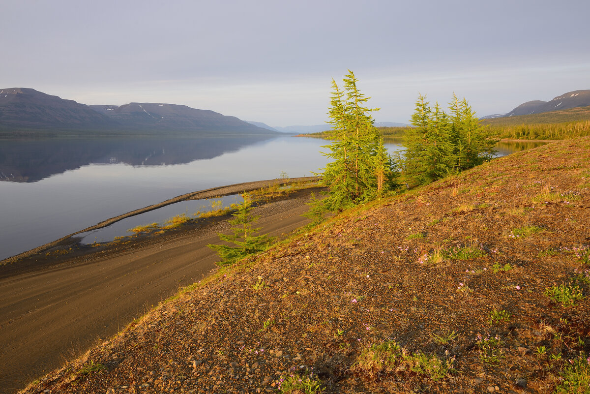 ** - Александр Хаецкий