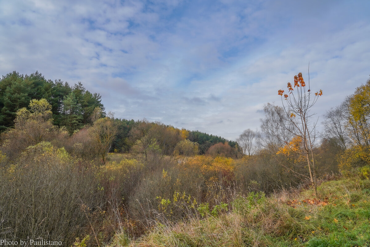 Под небом октября... - Владимир Жданов
