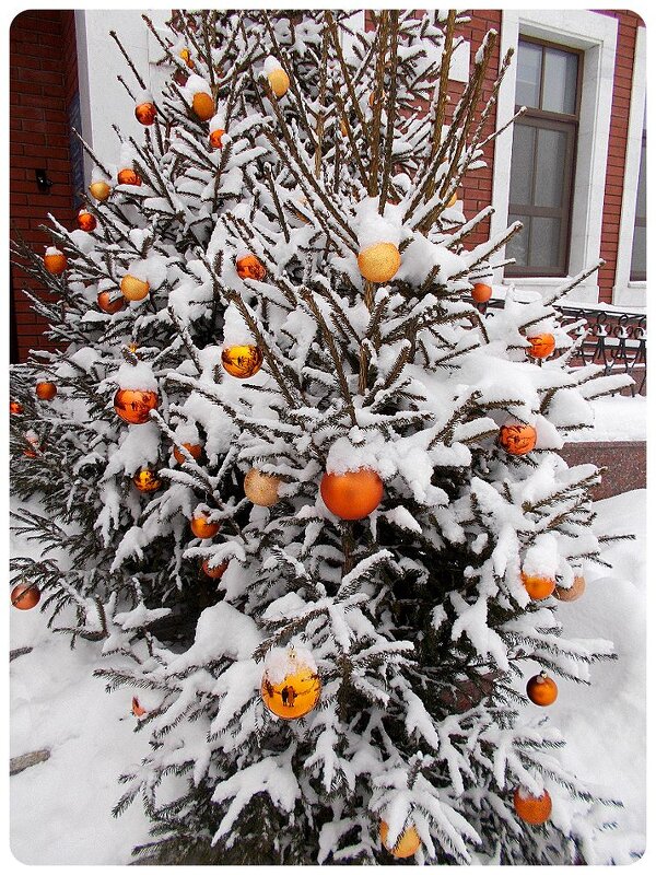 Золотые "яблоки" - Alisia La DEMA