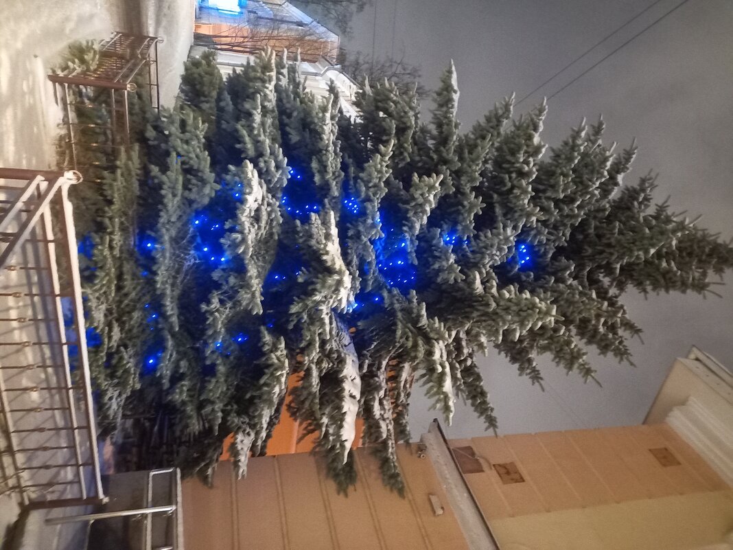 Ёлка - Сапсан 