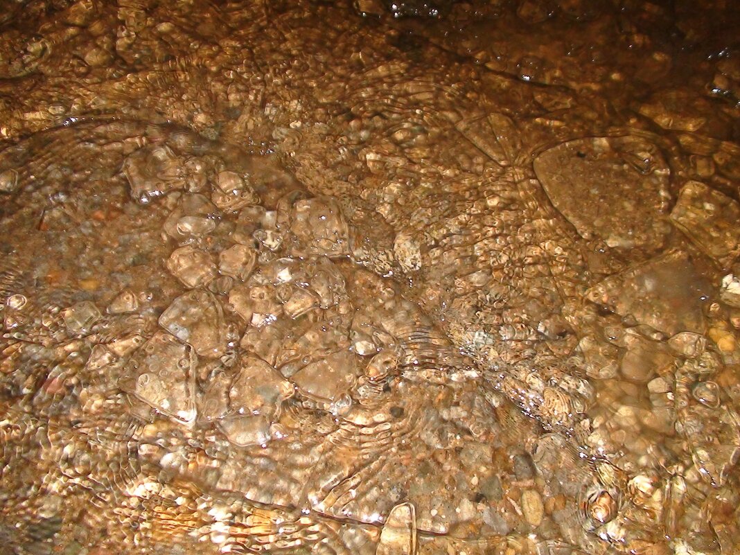 Льдинки на воде - fogmeadowww m