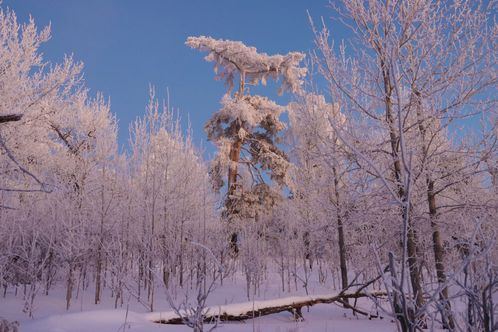 Краски зимнего вечера - Галина Ильясова Краски зимнего вечера - Галина Ильясова