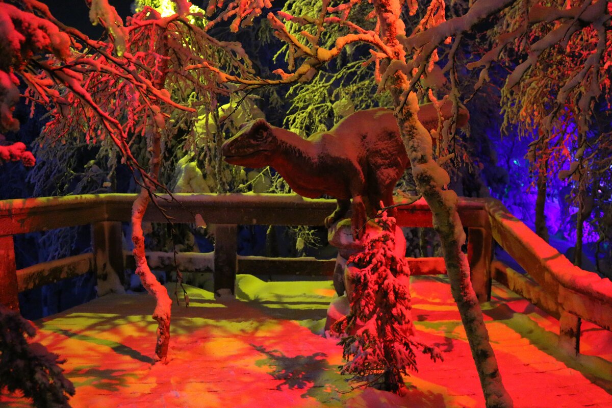 Ночь в Таинственном лесу - Ольга 