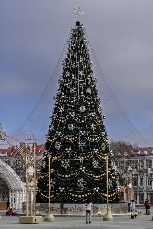 Новогодняя елка - Игорь Сикорский