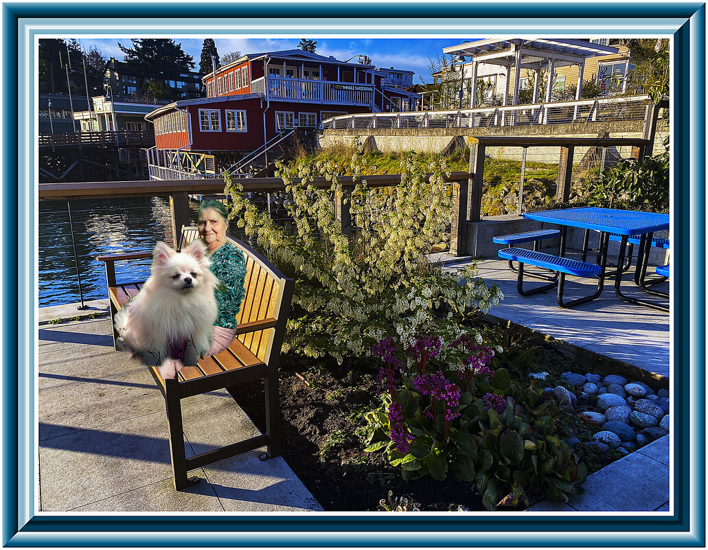 Отдых с собачкой - Владимир Кроливец