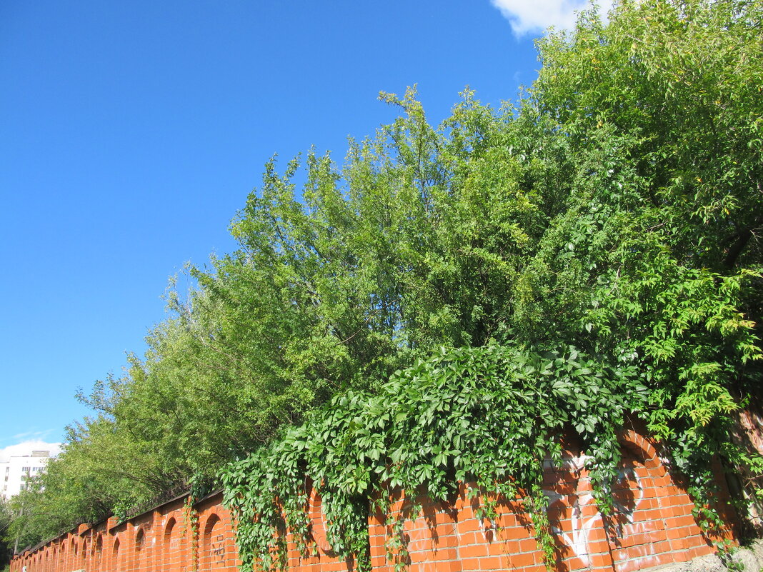 Нижний Тагил - Елена Шаламова Нижний Тагил - Елена Шаламова