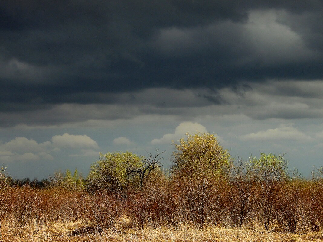 Это весенний первый гром ,грохочет в небе голубом... - nadyasilyuk Вознюк