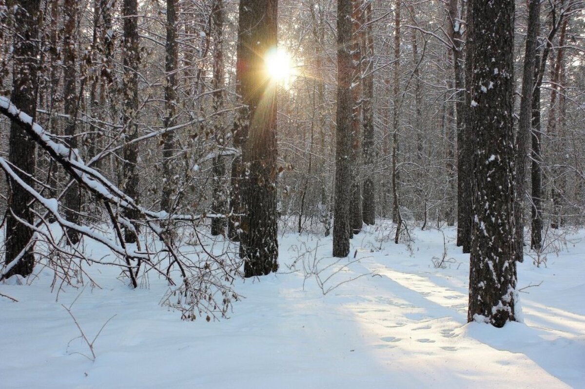 Пробился лучик солнца - Галина Нестратова Пробился лучик солнца - Галина Нестратова