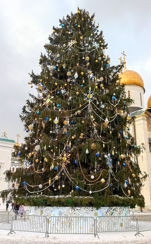 Главная ёлка страны на Соборной площади Кремля - Татьяна Тюменка