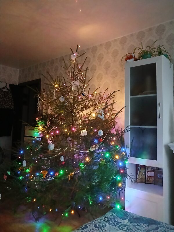 Ёлочка - BoxerMak Mak