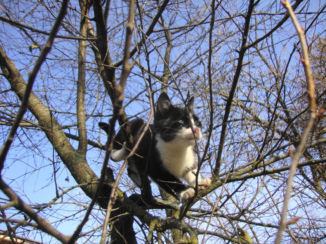 невообразимая поза охотника - Галина Флора