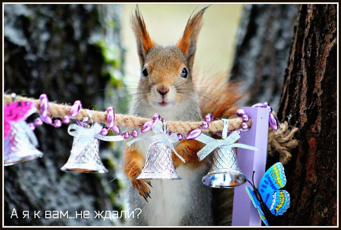 С Наступающим Новым Годом! - Ольга Митрофанова